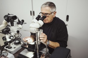 eddy vleeschdrager